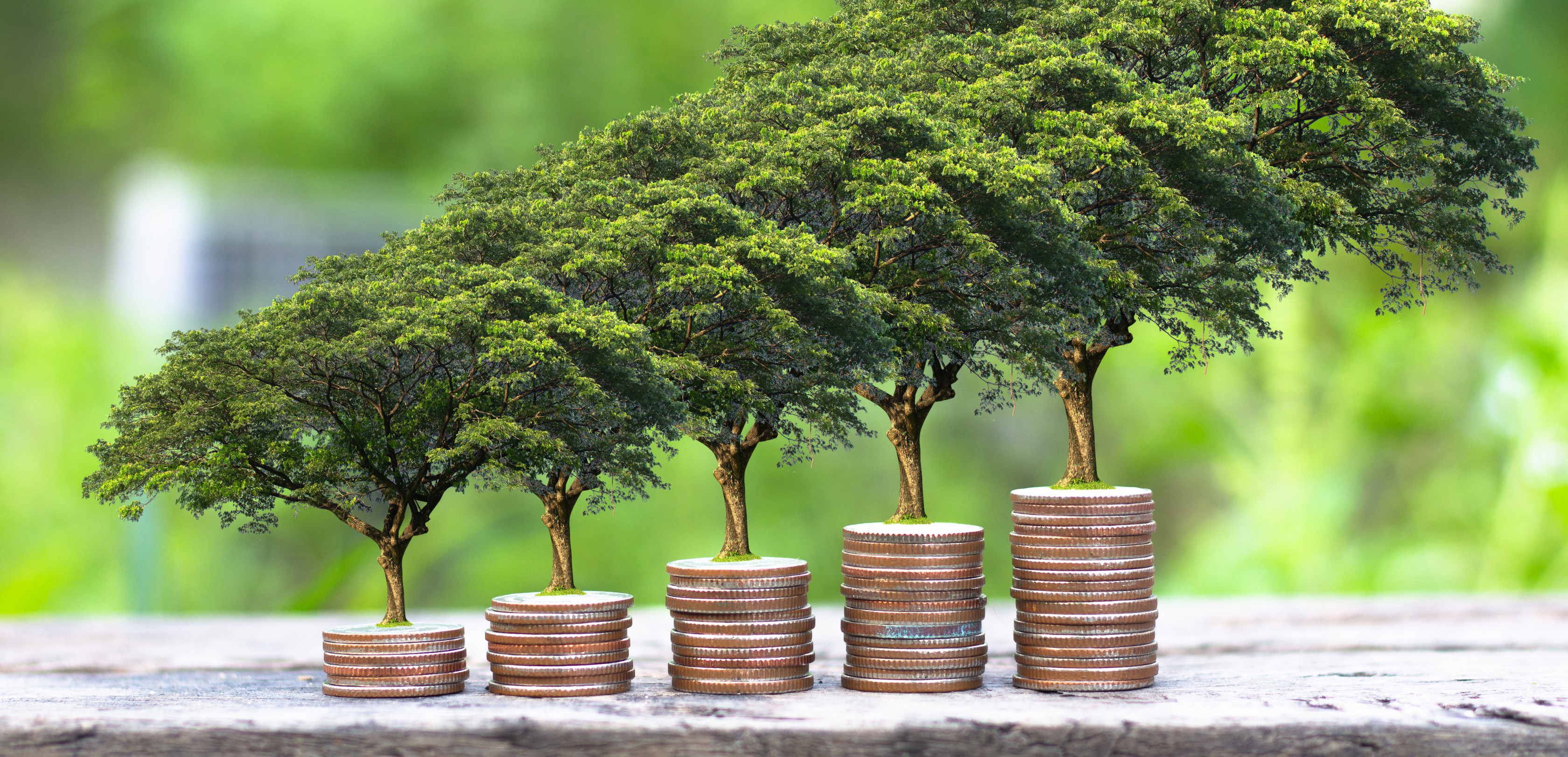 Finance durable
