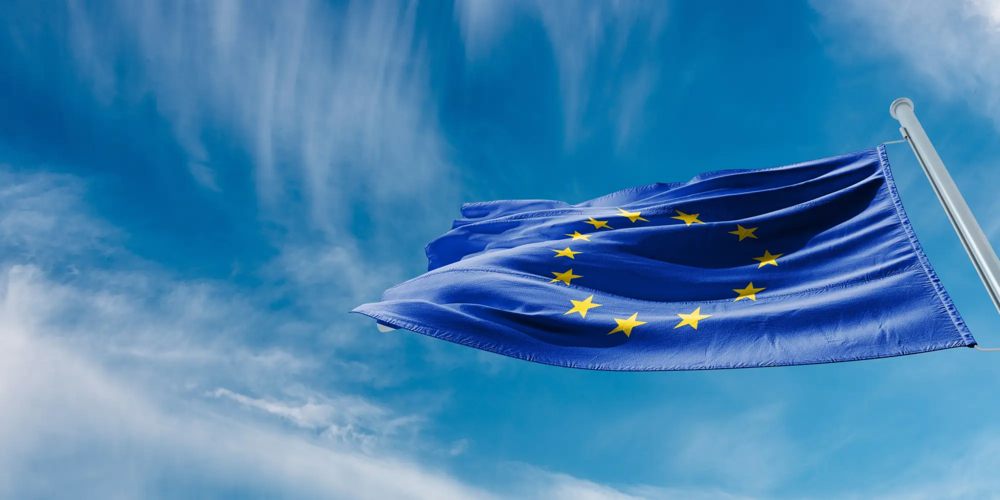 shutterstock_2268201751