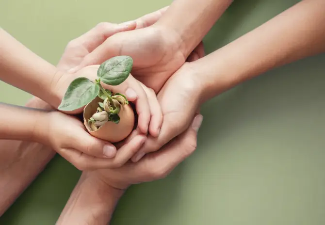 shutterstock_1659148771